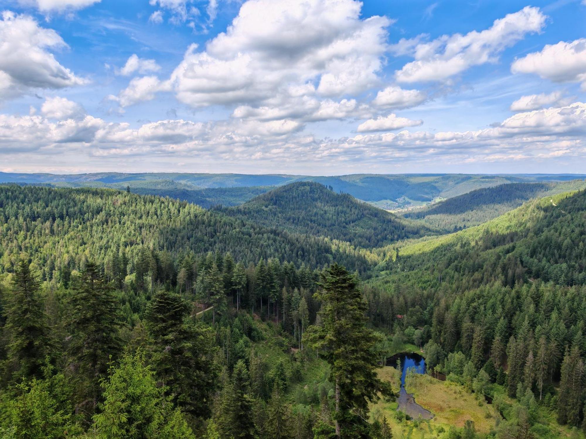Gasthof "Zum Steinwald" Loßburg 外观 照片